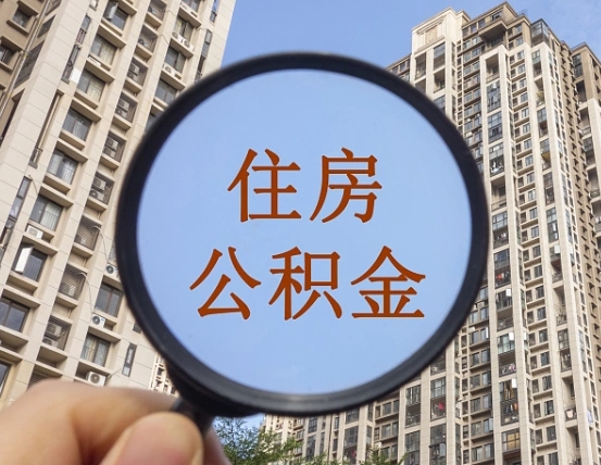 固安退休后查不到公积金明细了吗（退休后公积金查询不到原因）